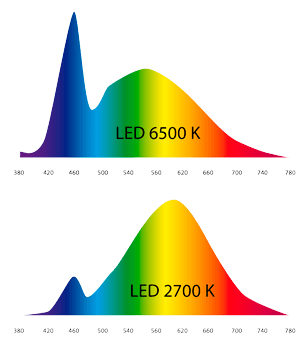 Sammenligning af spektra for LED 2700 og 6500 K